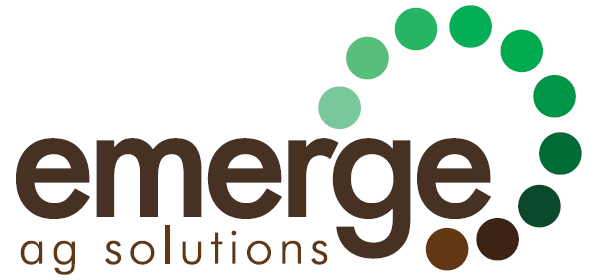 Emerge Logo