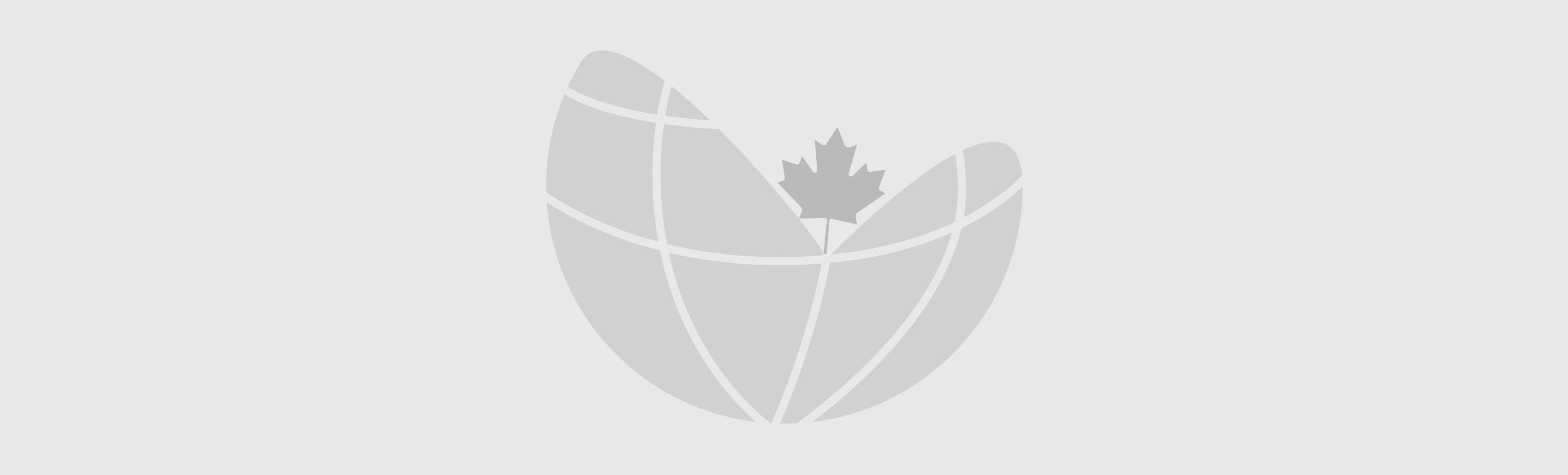 logo-placeholder